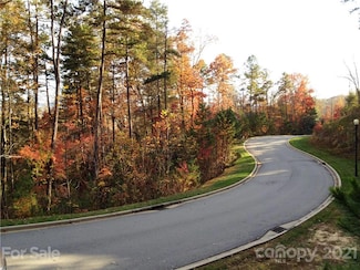 Upper Camptown Rd Unit M110, Brevard, NC 28712