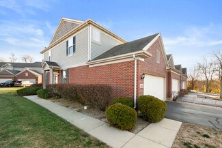 164 Neutrenton Ave, Elgin, IL 60120