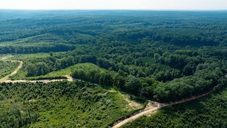 0 California Woods Rd, Omaha, GA 31821
