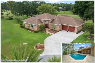 10044 Twelve Oaks Ct, Weeki Wachee, FL 34613