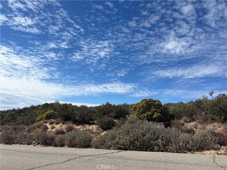 56857 Penny Lane Rd, Anza, CA 92539
