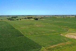 226 290th St, West Branch, IA 52358