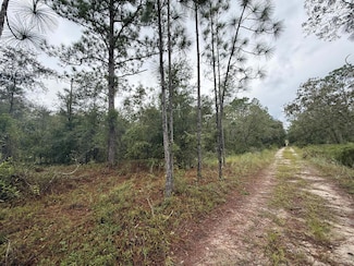 0 NE 83rd Ln Unit R11053601, Bronson, FL 32621