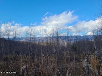 0 Dooley Hollow Rd Unit 1285389, Ewing, VA 24248