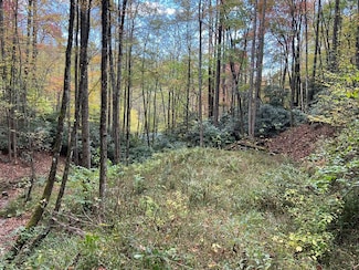 Lot 17 Black Bear Trail, Nantahala, NC 28781