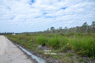 0 Buck Corbitt Rd, Manor, GA 31550