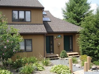 14 - 88 Windham Mt Village Unit 88, Windham, NY 12496