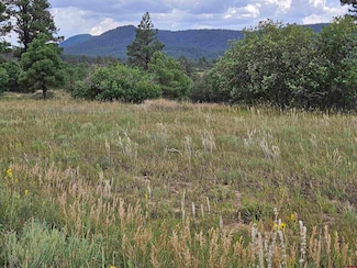 250 Prospect Blvd, Pagosa Springs, CO 81147