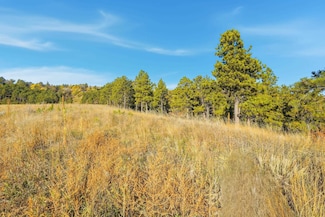 Lot17B W Minnesota St, Rapid City, SD 57701