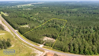 Tract 3 Farm To Market 942, Livingston, TX 77351