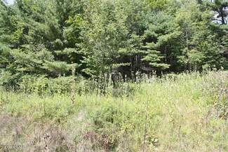 0 Preacher Brook Rd Unit WB-82136, Monroeton, PA 18832