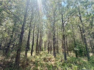 0 County Road 32 Unit 22466181, Stewart, AL 35441