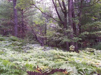828 Beaver Trail Unit Parcel  123, Wolverine, MI 49799