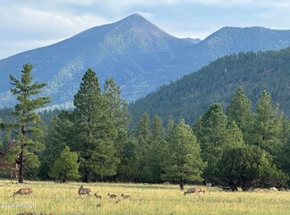 3373 Cione Ranch Rd, Flagstaff, AZ 86001