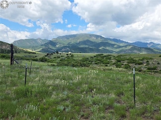 1054 County 390 Rd, Wetmore, CO 81253
