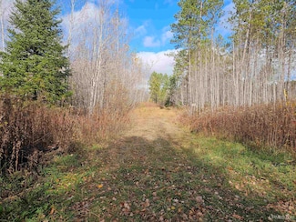 6.26ac Cataldo Dr Unit Lots 4, 5 & 6, Iron River, MI 49935