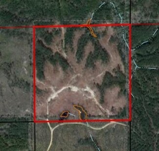 0 County Road 45, Silas, AL 36919
