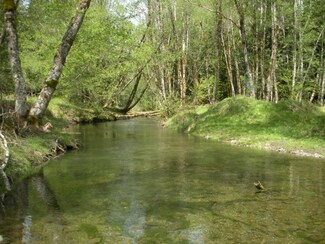 1234 Xx1 Hwy 12, Packwood, WA 98361