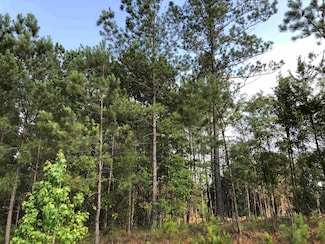 0 Ted Dunn Blvd Unit 62745, Eatonton, GA 31024