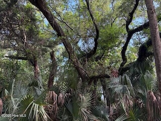 207 Muscadine Wynd, Bald Head Island, NC 28461