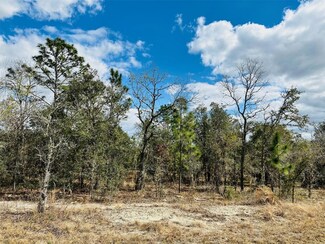 0 SW Winding Hills Rd Unit MFRGC526849, Dunnellon, FL 34431