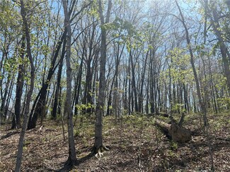 Lot 29 Devonshire Ln, Bella Vista, AR 72715