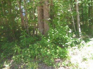0 Meeks Rd, Adamsville, TN 38310