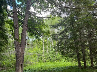 TBD Cr 159, Ardenhurst Township, MN 56661