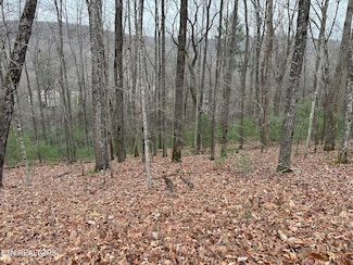 179 Pineridge Loop, Crossville, TN 38558