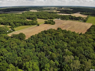 000 Raven Rd, Iola, IL 62838