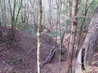 Tbd Burrage Rd Unit LotWP001, Enterprise, MS 39330