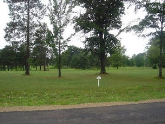 13 White Pine Ridge, Harrison, MI 48625