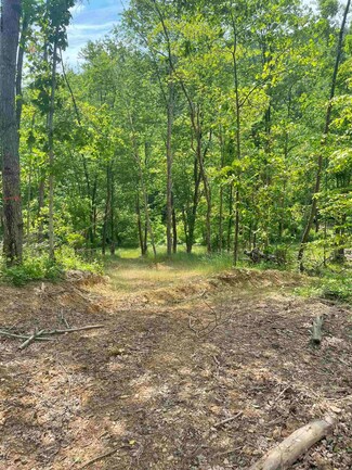 TBD River Run Rd, Harmony Grove, WV 26354