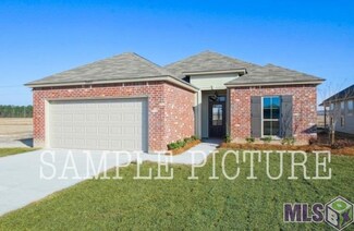 25421 White Lake Ave, Livingston, LA 70754