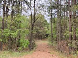 0 Hwy 67 Unit 22715265, Redwater, TX 75567