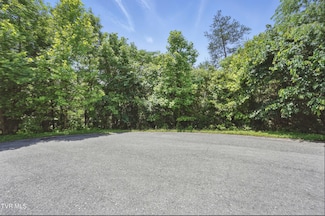 2064 Scenic Pointe Place, Church Hill, TN 37642