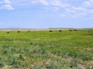 2876 Chesterfield Rd, Bancroft, ID 83217