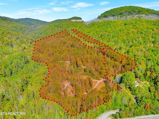 63 Baker Ln, Pioneer, TN 37847