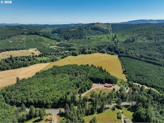 10090 Highway 202, Birkenfeld, OR 97016