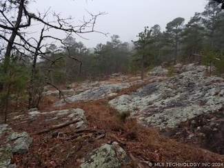 417 435c, Daisy, OK 74540