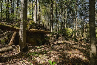 0 Little Kyger Rd, Cheshire, OH 45620