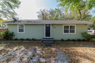 1215 E Holland Ave, Tampa, FL 33612