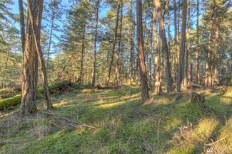 4 Spring Point Lot 4b Rd, Orcas Island, WA 98243