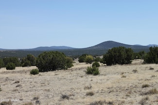 36 County Road 8249, Concho, AZ 85924
