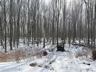 4630 Silvernail Rd, Caro, MI 48723
