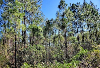 0 Bat Rd Unit 16494875, Perry, FL 32347