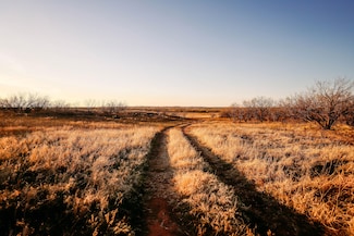 0 County Road 433, Merkel, TX 79536