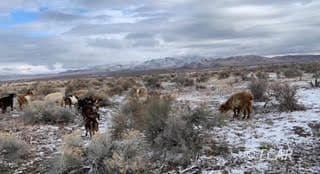 0 Tbd Phyllis Ln Unit 3625914, Winnemucca, NV 89414