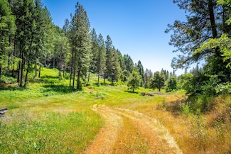 2 Volcanoville Rd, Georgetown, CA 95634