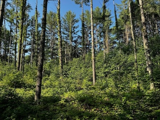 11045 Rockwood Dr Unit Lot 27, Lac Du Flambeau, WI 54548